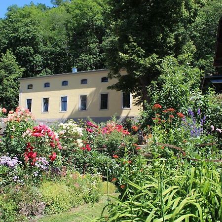 Ferienwohnung Goldgrund Meissen Bagian luar foto