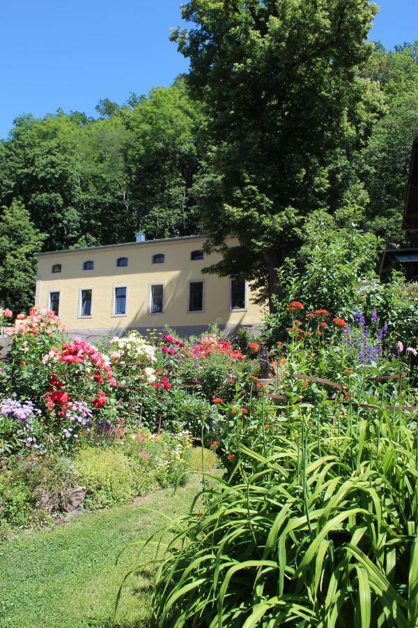 Ferienwohnung Goldgrund Meissen Bagian luar foto